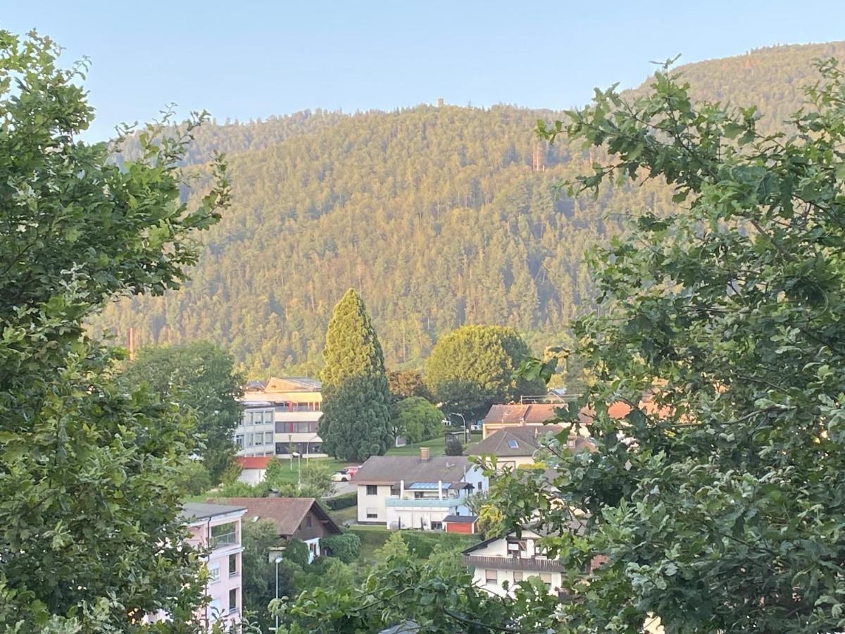 Apartment Baerenfelsblick Wehr  Eksteriør bilde